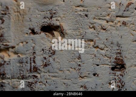 brown rough surface background, details of a flowers vase Stock Photo