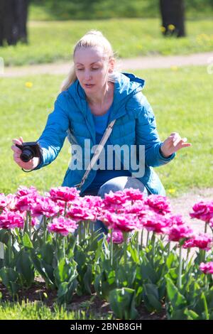 beautiful woman photographs a flower bed with spring blooming tulips. Stock Photo