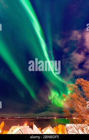 aurora fire over island Kvaloya, Norway, Troms Stock Photo
