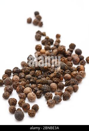 Closeup of whole black peppercorns on white background. Stock Photo