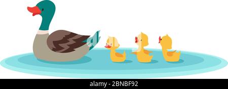 Mother duck and little ducks in water. Ducklings swimming in row. Cartoon vector illustration. Duckling bird animal on landscape water pond Stock Vector