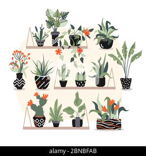 A nice and beautiful little garden at home where a lot of tropical exotic plants with leaves and rad flowers in black pots are places on the big pink Stock Vector