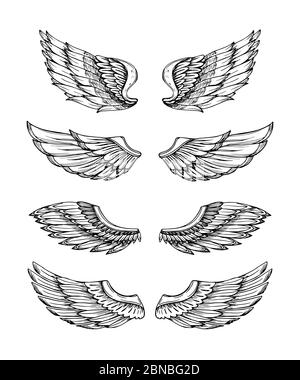 Angel wings. Abstract black winged design. Eagle bird wing hand drawn isolated set. Feather bird wings, gothic tattoo illustration wing Stock Vector