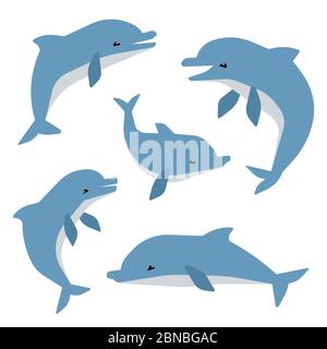 Cute dolphins in different poses vector illustation. Dolphins isolated on white background. Animal mammal dolphin, sea wildlife Stock Vector