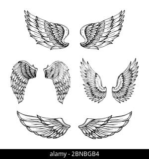 Hand drawn wing. Sketch angel wings with feathers. Vector tattoo design isolated. Angel wing tattoo, bird feather sketch drawn illustration Stock Vector