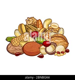 Nuts assortie isolated on white background. Nuts food, and natural seed, healthy ingredient for vegetarian, vector illustration Stock Vector