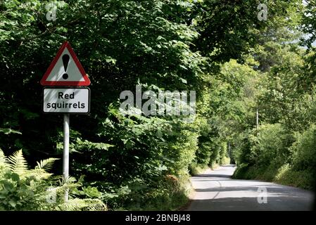 Red squirrel warning sign on road in countryside, Trossachs, Scotland, UK Stock Photo