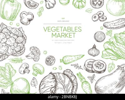 Vegetables hand drawn background. Organic food vegetable set. Sketch vegan vector menu design. Illustration of vegetarian and vegan organic sketch vegetable Stock Vector