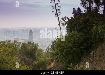 View of Malaga Cathedral and old town from atop Mount Gibralfaro, Malaga, Costa Del Sol, Andalusia, Spain, Europe Stock Photo