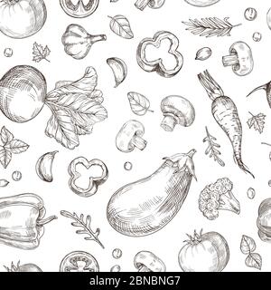 Vegetable hand drawn seamless pattern. Fresh vegetarian food, garden vegetables. Etching drawing vector vintage wallpaper. Illustration of healthy fresh background drawing beet and eggplant Stock Vector