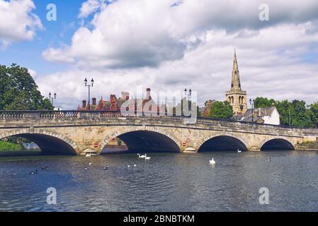 UK, England, Bedfordshire, Bedford, swans at 1813 Town Bridge across ...