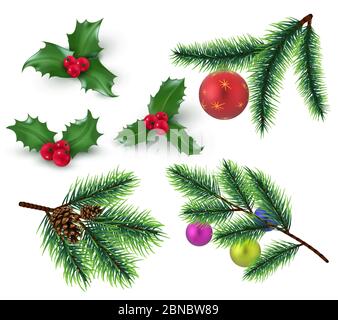 Christmas Branch Holly Twig Pine Stems Stock Vector (Royalty Free