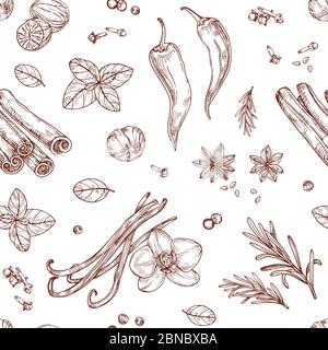 Sketch spices seamless pattern. Cooking herbs and asian vegetables. Hand drawn vector texture. Aroma condiment, herbal spicy for cooking illustration Stock Vector