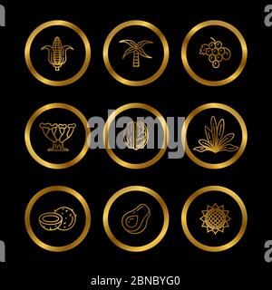 Gold icons of natural oil ingredients. Line eco products icons for food and cosmetics industry. Vector illustration Stock Vector