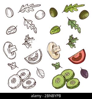 Hand drawn vegan salad ingredients. Tomato, cucumber, olives, greens isolated on white background. Vector illustration Stock Vector