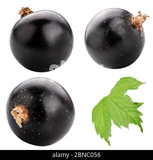 Black currants isolated on white backgeound Stock Photo