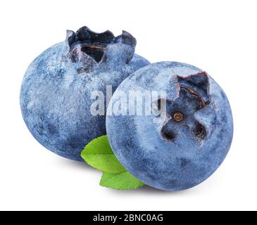 Blueberries isolated on white background Stock Photo