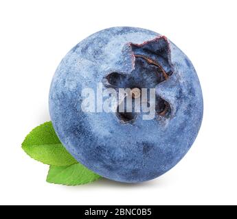 Blueberries isolated on white background Stock Photo