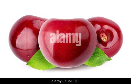 Cherries (merries) isolated on white background Stock Photo