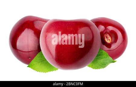 Cherries (merries) isolated on white background Stock Photo