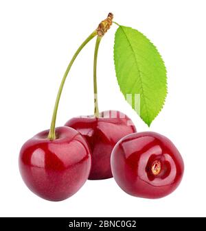 Cherries (merries) isolated on white background Stock Photo