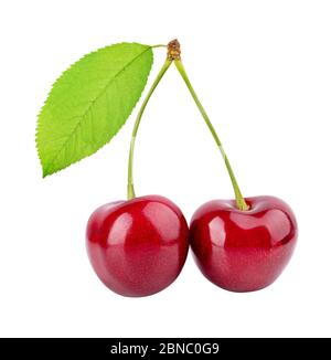 Cherries (merries) isolated on white background Stock Photo