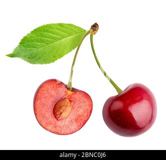 Cherries (merries) isolated on white background Stock Photo