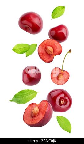 Falling cherries (merries) isolated on white background Stock Photo