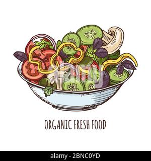Organic fresh food illustration. Hand drawn greens salad in bowl isolated on white background vector Stock Vector