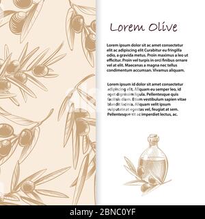Olive branches vector banner template and poster . Vintage page with text illustration Stock Vector