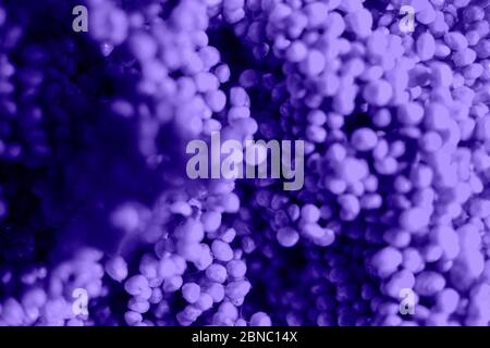 Violet macro texture of balls. Abstract background for different purposes. Stock Photo. Stock Photo