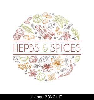 Herbs and spices background. Hand drawn asian food. Indian cooking herbs vector engraved style. Rosemary and cardamom, ginger and cinnamon illustration Stock Vector