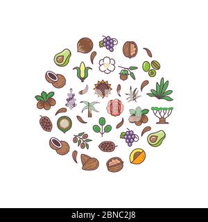 Healthy bio cosmetics oil linear vector logos round vector concept. Illustration of natural oil flower, healthy sunflower and grape Stock Vector