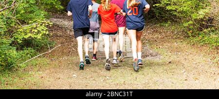A high school cross country team has runners running in the woods training for long distance running on a grass path. Stock Photo