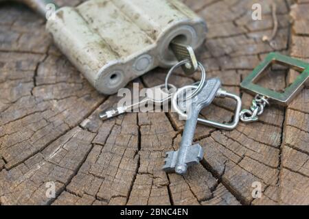Keys in a padlock close up lie on an old dry stump. A bunch of keys and a padlock in the open air Stock Photo
