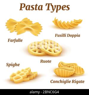 Realistic traditional italian pasta types vector set. Illustration of macaroni traditional for pasta italian Stock Vector