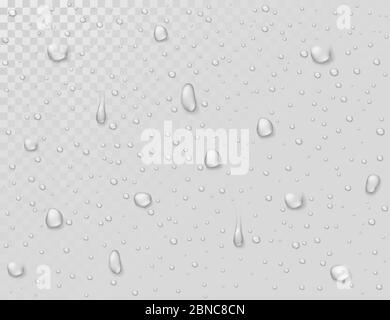 Water rain drops. Droplets on transparent wet glass window. Photorealistic water shower drops vector background. Illustration of clear droplet on glass transparent Stock Vector