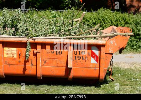 Orange dumpster with plant waste standing in a meadow, Germany, Europe Stock Photo