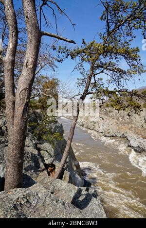 Potomac River in Great Falls National Park Stock Photo