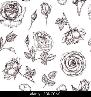 Roses seamless pattern. Hand drawn rose floral textere. Flower fabric repeat vector vintage background. Rose with petal sketch illustration Stock Vector