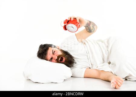 Guy with furious face holds alarm clock. Hipster with beard and mustache awake because of alarm clock. Morning wake up concept. Man suffers in morning, wants to destroy alarm clock, white background. Stock Photo