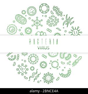Outline vector microbes, viruses, bacteria, microorganism cells and primitive organism concept isolated on white. Illustration of microbe and virus, bacterium micro organism Stock Vector