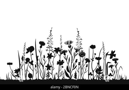 Wildflower silhouettes. Wild grass spring field. Herbal summer vector background. Wildflower on meadow, botanical plant black silhouette illustration Stock Vector