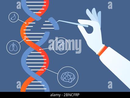 Dna engineering. Genome crispr cas9, gene mutation code modification. Human biochemistry and chromosomes research vector concept. Illustration of gene engineering, mutation code genetic Stock Vector