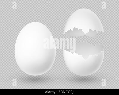 Realistic vector white eggs with whole and broken shell isolated on transparent background illustration Stock Vector
