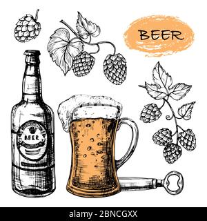 Sketched beer collection with glass, bottle and hop vector set. Illustration of alcohol bottle beer sketch Stock Vector