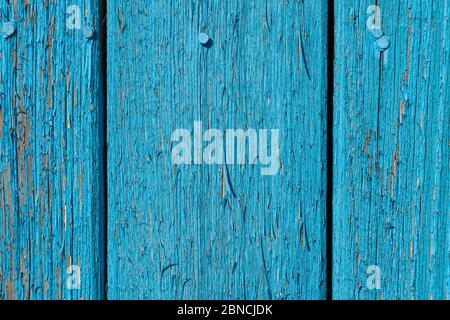 Close-up of an old blue fence with nails clogged with hats and peeling paint as an antique background for wallpapers. Rustic battered boardwalks. Stock Photo