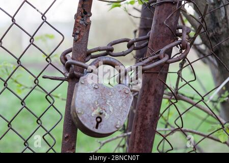 A large old closed iron castle with rust and peeling paint on a thick barn chain wrapped between the gates of a metal fence against a background of gr Stock Photo