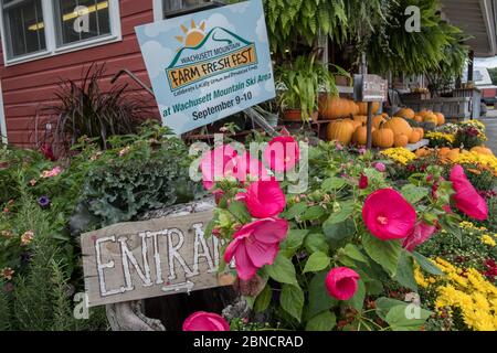 A farm stand in Phillipston, Massachusetts Stock Photo