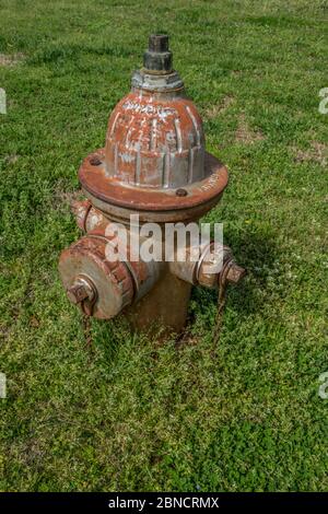 A painted rust covered old fire hydrant with patina still in use with weeds and grasses surrounding the base facing left in a field on a sunny day Stock Photo